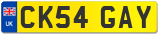 CK54 GAY