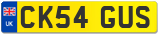 CK54 GUS