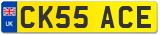 CK55 ACE