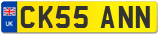 CK55 ANN