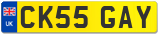 CK55 GAY