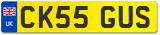 CK55 GUS