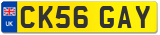 CK56 GAY