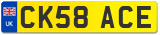 CK58 ACE