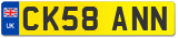 CK58 ANN