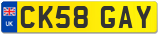 CK58 GAY