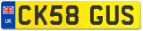 CK58 GUS