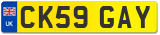 CK59 GAY