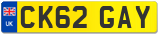 CK62 GAY