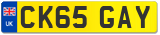 CK65 GAY