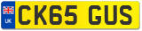 CK65 GUS