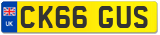 CK66 GUS