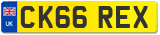 CK66 REX