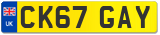 CK67 GAY