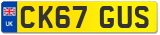 CK67 GUS