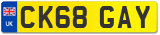 CK68 GAY