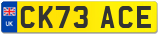 CK73 ACE