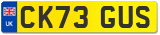 CK73 GUS