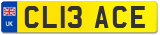 CL13 ACE