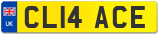 CL14 ACE