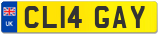 CL14 GAY