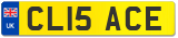 CL15 ACE