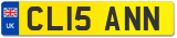 CL15 ANN