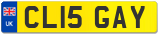 CL15 GAY
