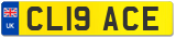 CL19 ACE