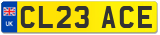 CL23 ACE