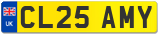 CL25 AMY