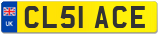 CL51 ACE