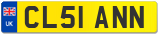 CL51 ANN