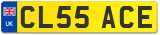 CL55 ACE