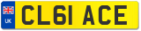 CL61 ACE