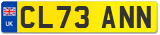 CL73 ANN