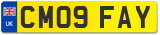 CM09 FAY