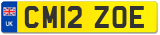 CM12 ZOE