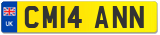 CM14 ANN