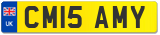 CM15 AMY