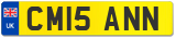 CM15 ANN