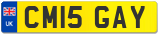 CM15 GAY