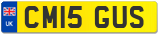 CM15 GUS