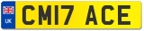 CM17 ACE