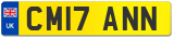CM17 ANN