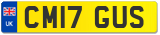 CM17 GUS