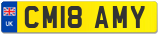 CM18 AMY