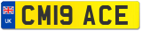 CM19 ACE