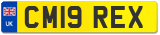 CM19 REX