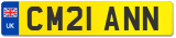 CM21 ANN